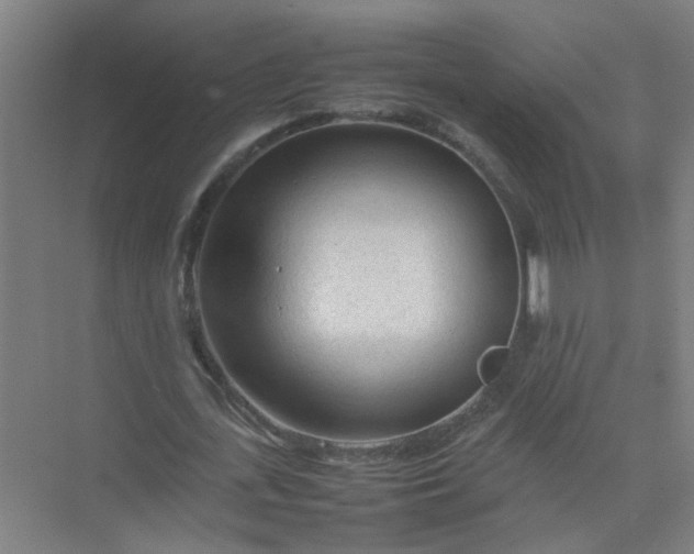 X0000074930723200609151938