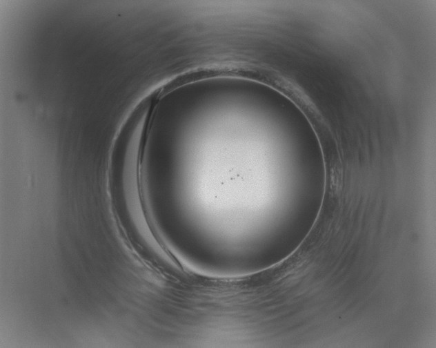 X0000074930724200609151938