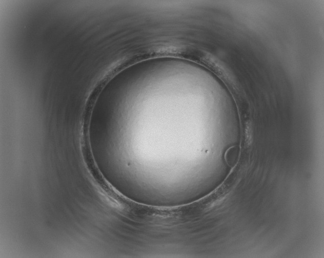 X0000074930725200609151938