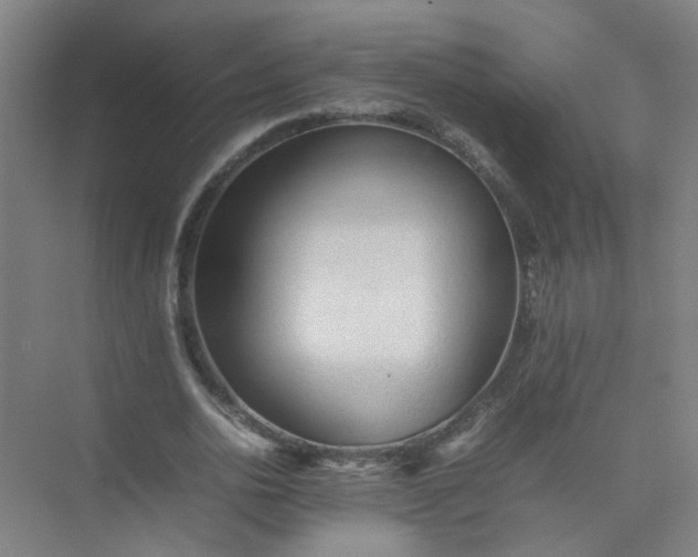 X0000074930726200609151938