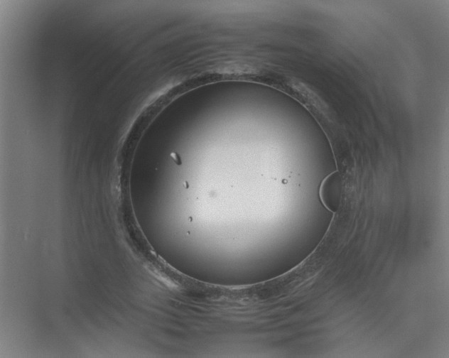 X0000074930727200609151938