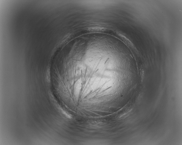 X0000074930729200609151938