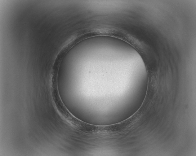 X0000074930730200609151938