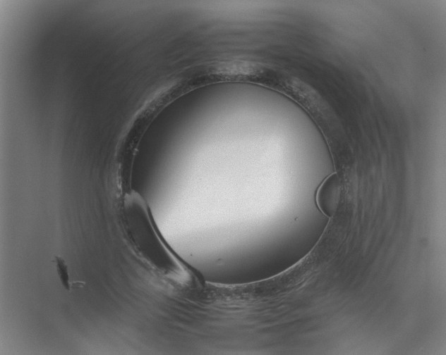 X0000074930731200609151938