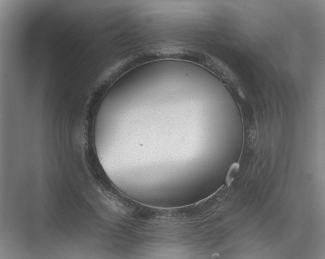 X0000074930732200609151938