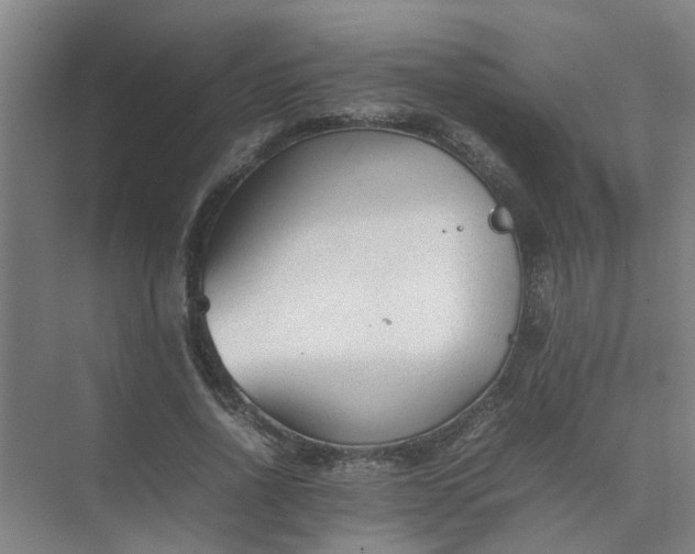 X0000074930734200609151938