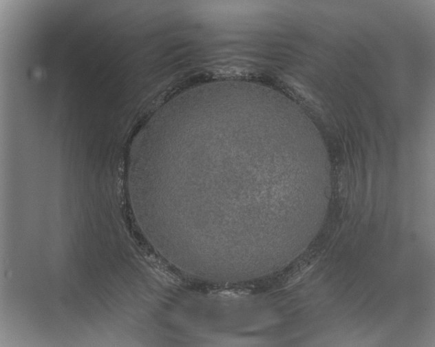 X0000074930737200609151938