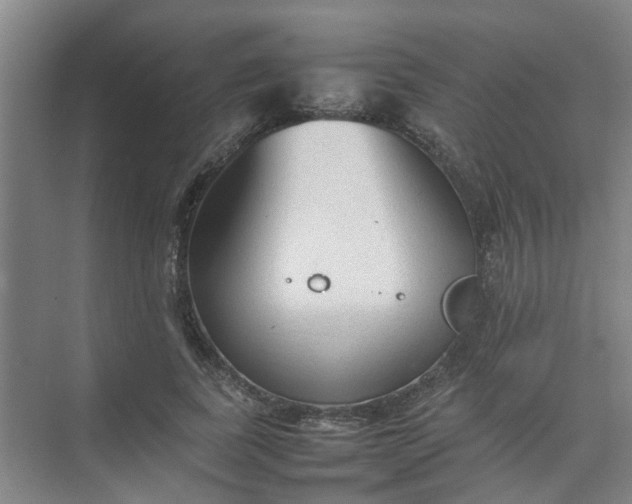 X0000074930739200609151938