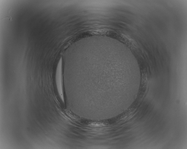 X0000074930749200609151938