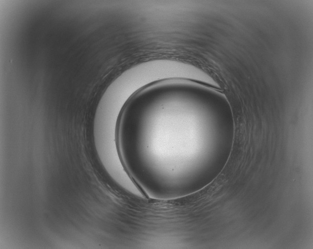 X0000074930750200609151938