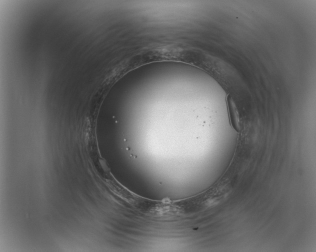 X0000074930752200609151938