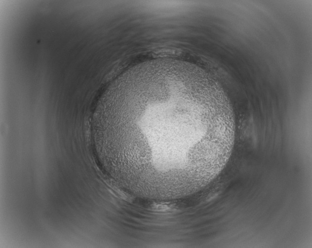 X0000074930753200609151938