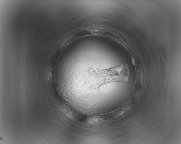 X0000074930754200609151938