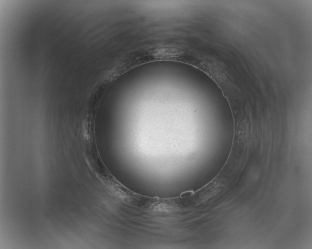 X0000074930755200609151938