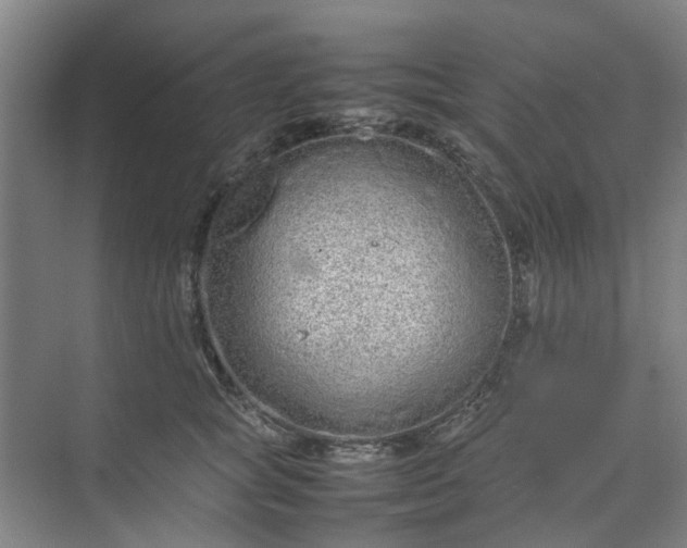 X0000074930757200609151938