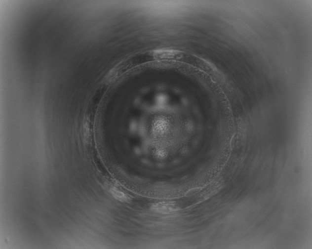 X0000074930761200609151938