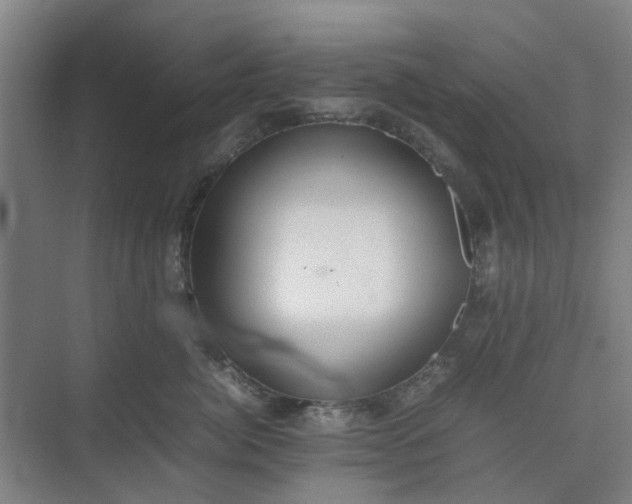 X0000074930764200609151939