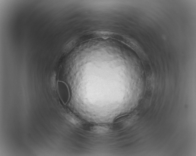 X0000074930765200609151939