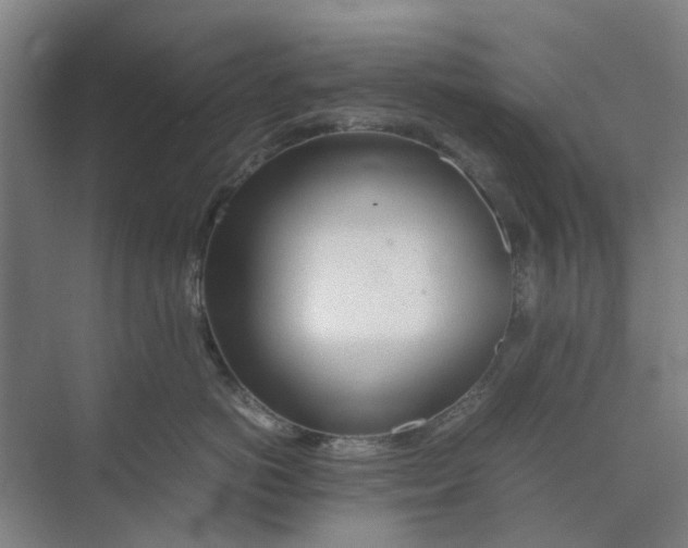 X0000074930766200609151939