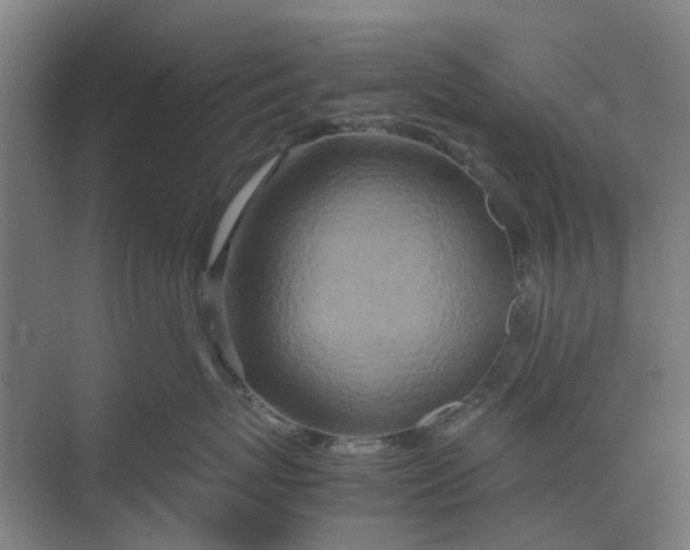 X0000074930767200609151939