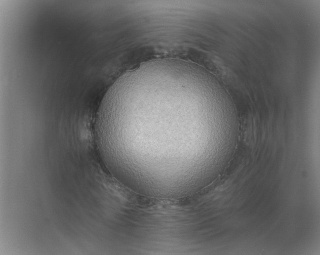 X0000074930770200609151938