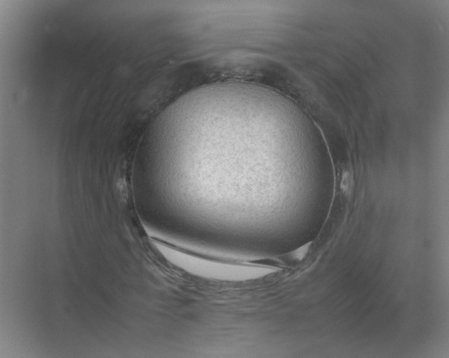 X0000074930771200609151938