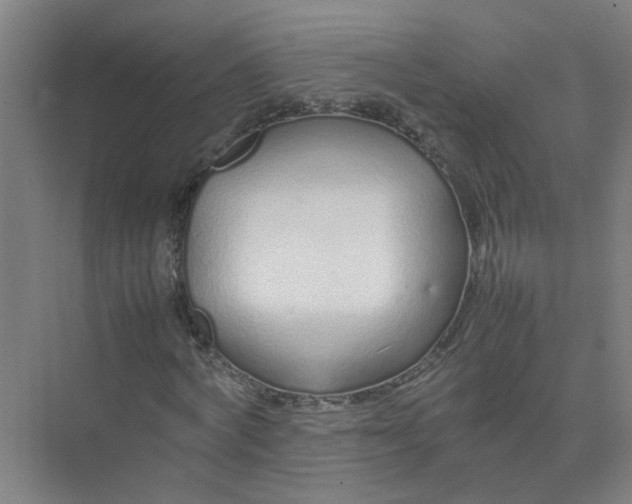 X0000074930772200609151938