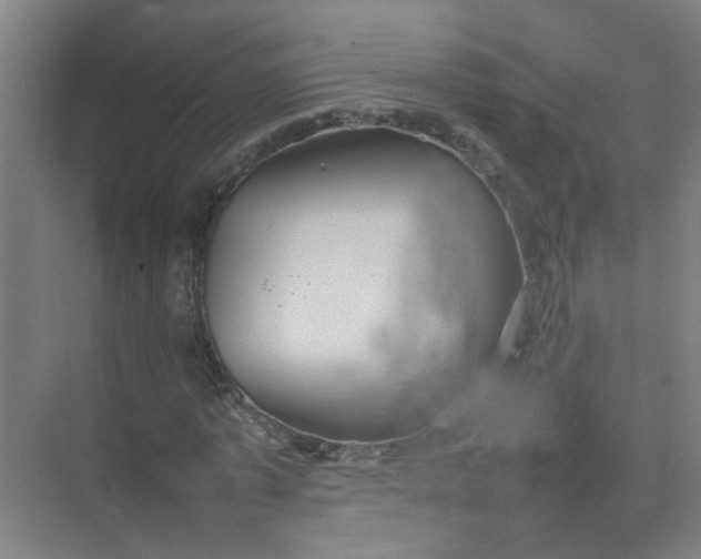 X0000074930773200609151938