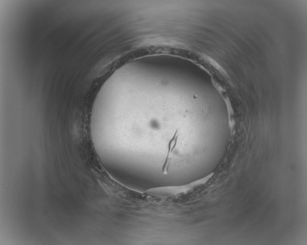 X0000074930775200609151938