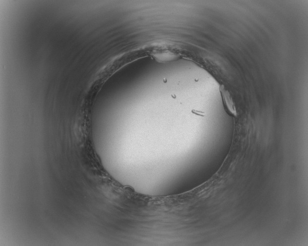 X0000074930776200609151938