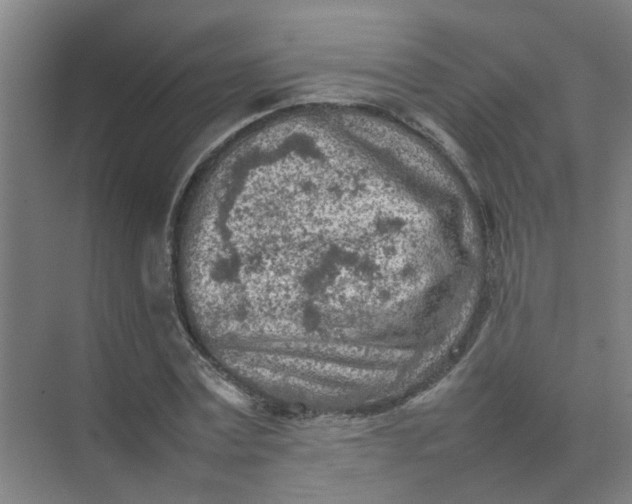 X0000074930779200609151938