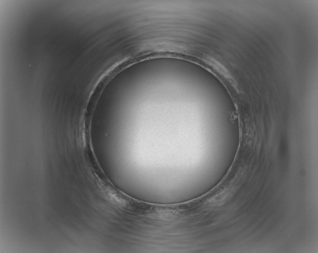 X0000074930782200609151938