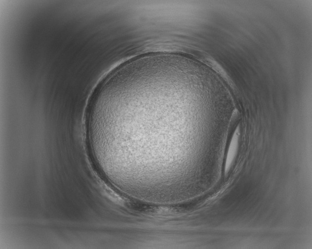 X0000074930787200609151937