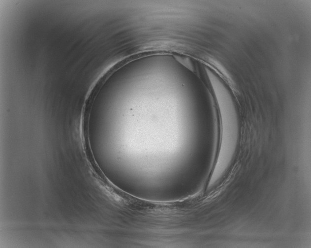 X0000074930788200609151937