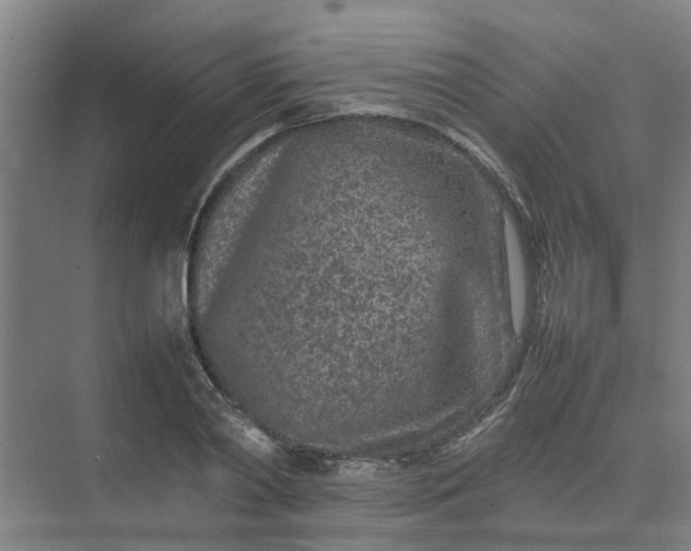 X0000074930790200609151937