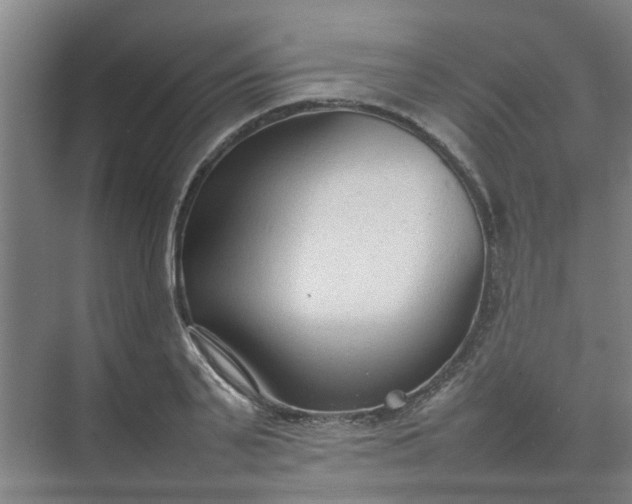 X0000074930791200609151937