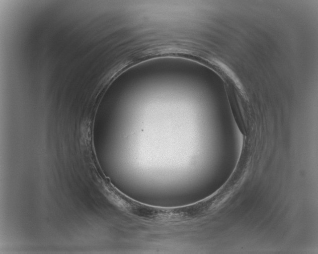 X0000074930793200609151937