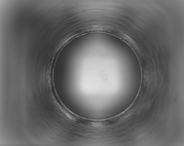 X0000074930794200609151937