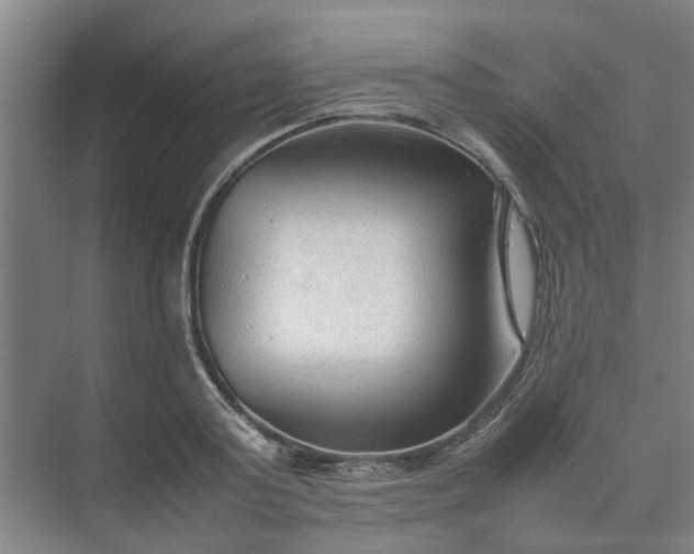 X0000074930795200609151937