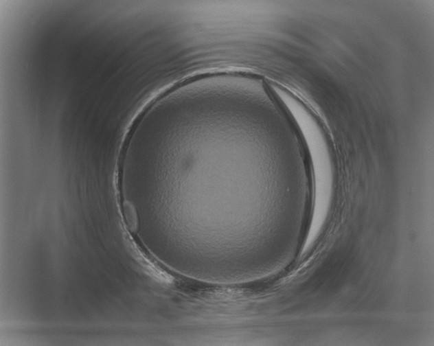 X0000074930797200609151937