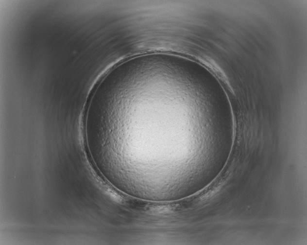 X0000074930798200609151937