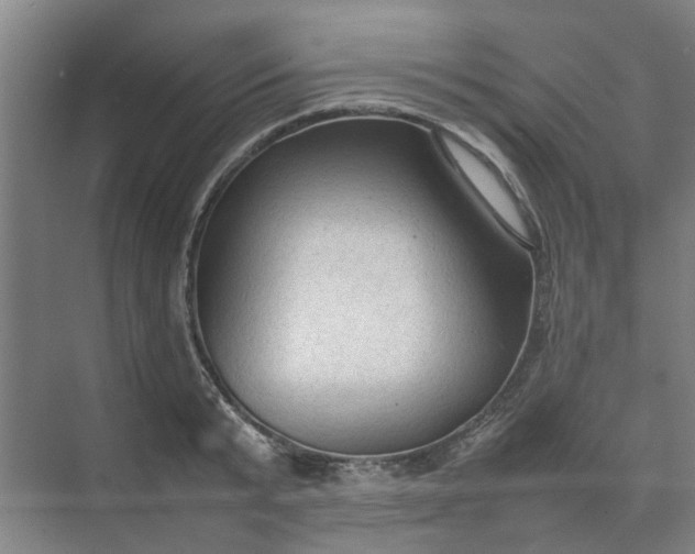 X0000074930799200609151937