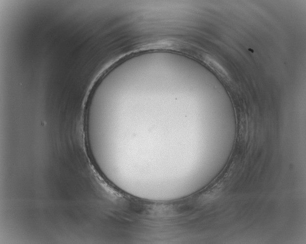 X0000074930800200609151937