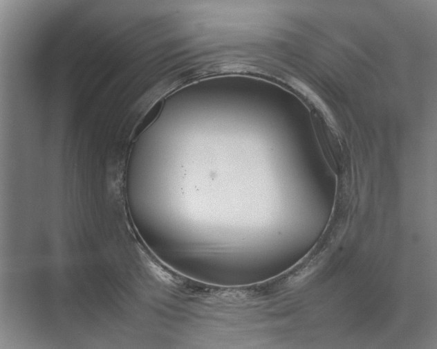 X0000074930801200609151937