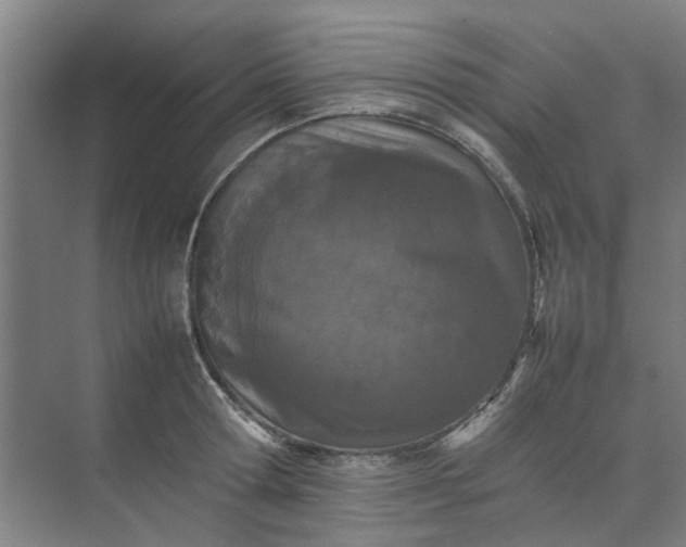 X0000074930802200609151937