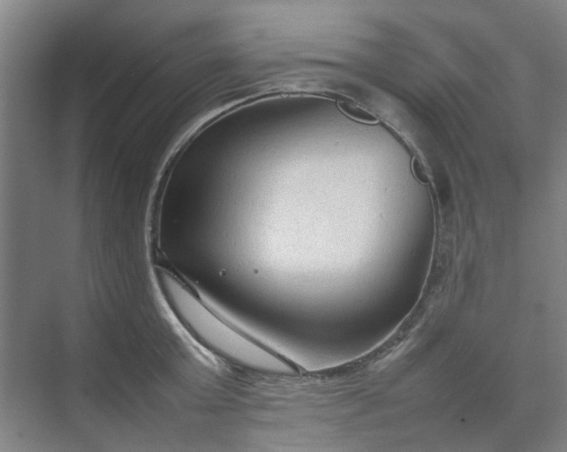 X0000074930803200609151937