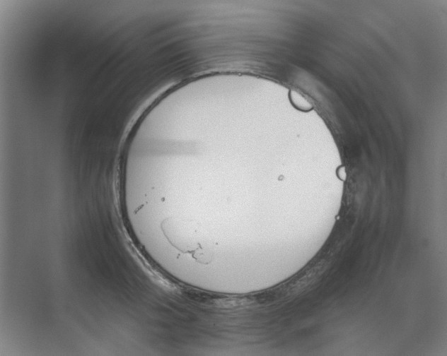 X0000074930804200609151937