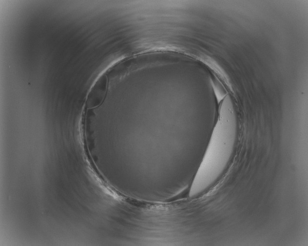 X0000074930806200609151937