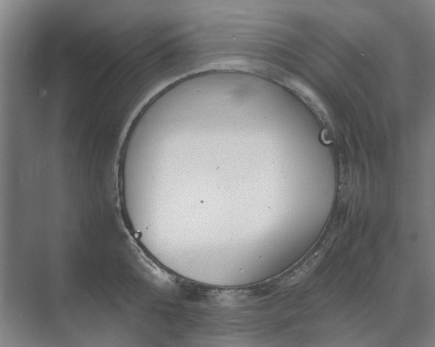 X0000074930808200609151937