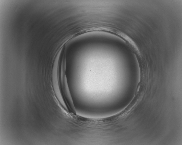 X0000074930809200609151937